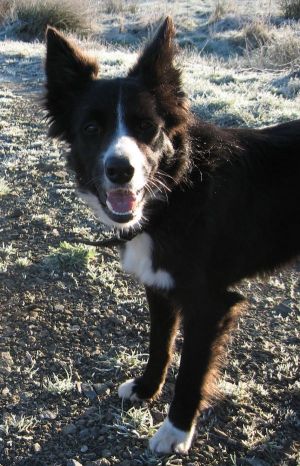 300Kopie von Img_1964.jpg